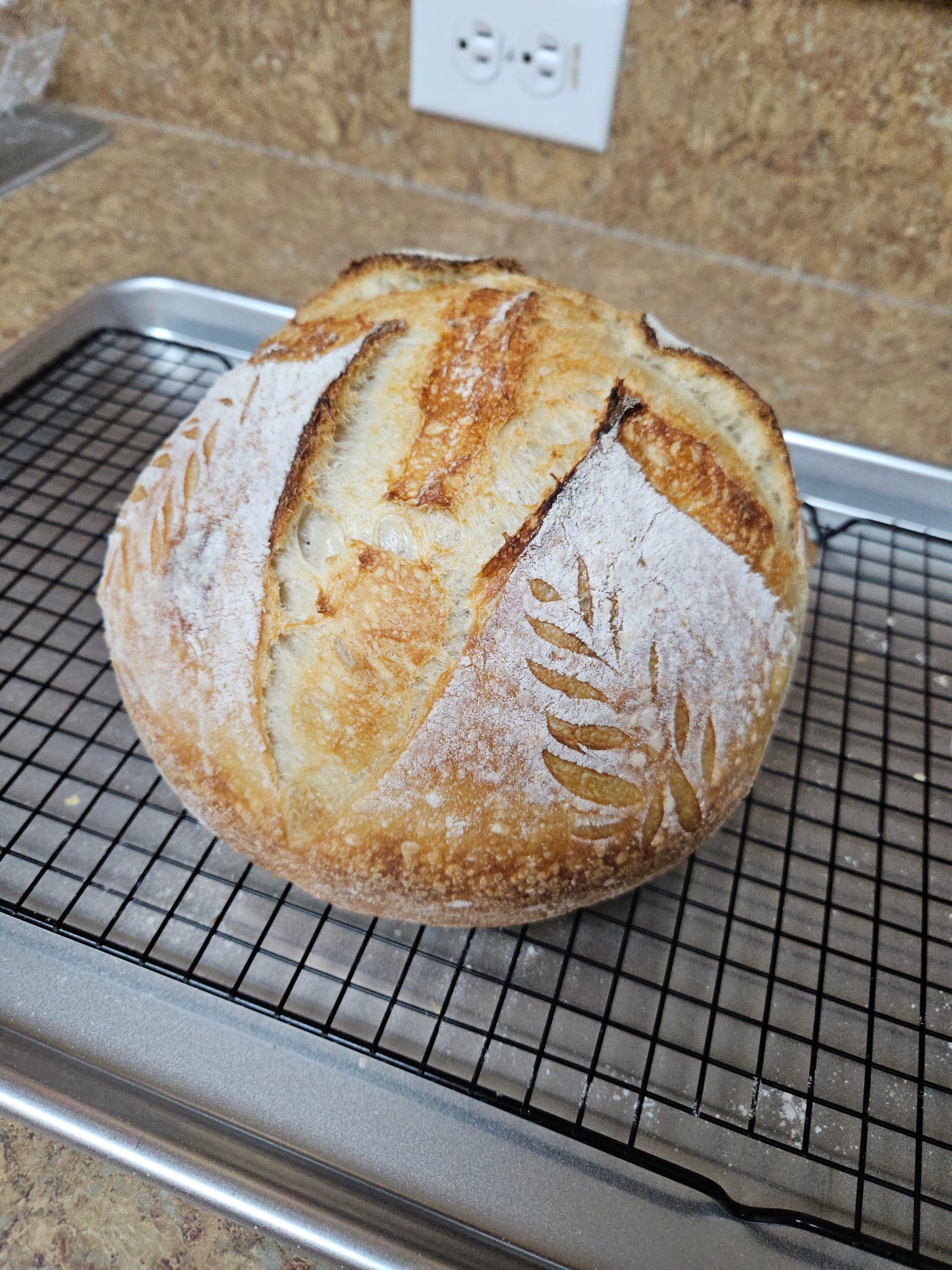 Apple Pecan Sourdough