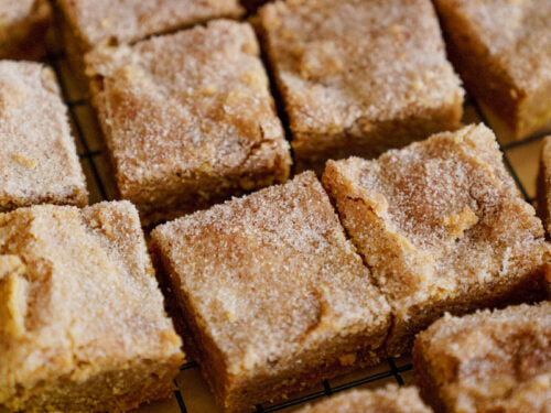 Snickerdoodle Blondies